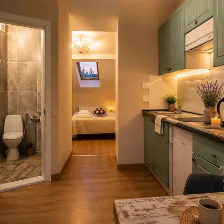 площа князя ярослава осмомисла 9, центр львова! Apartment
