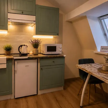 площа князя ярослава осмомисла 9, центр львова! Apartment *